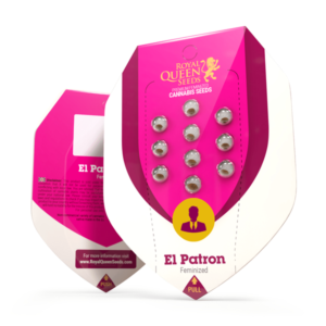 El Patron Fem 3 - RQS