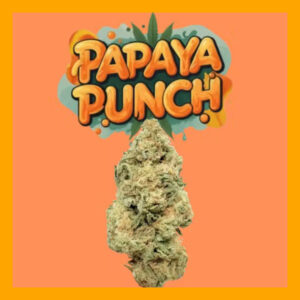 Vršički konoplje Papaya Punch 1g