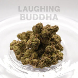 Vršički konoplje Laughing Buddha 1g
