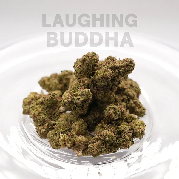 Vršički konoplje Laughing Buddha 1g
