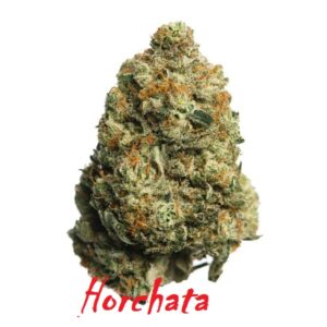 Vršički konoplje Horchata 1g