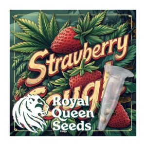 Strawberry Cough Fem 3 - RQS