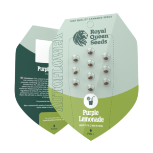 Purple Lemonade Auto 3 – RQS