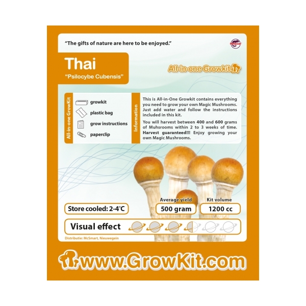 Thai Souvenirski Set / Kit