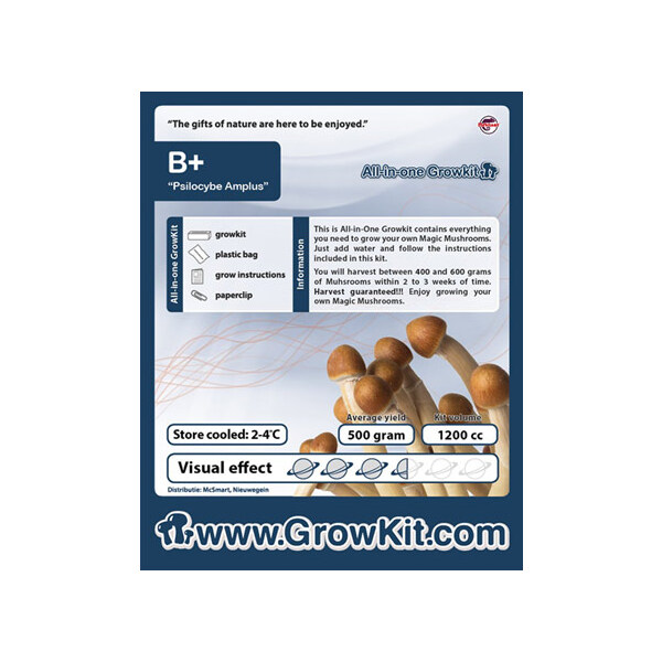 B+ Souvenirski Set / Kit