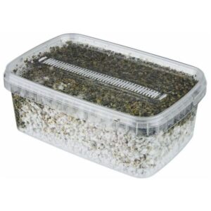 Thai Souvenir Set / Kit