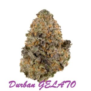 Vršički konoplje Durban Gelato 1g