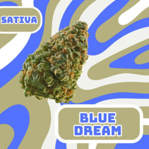 Vršički konoplje Blue Dream 3g