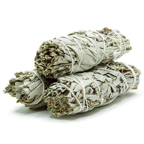 Beli Žajbelj / White Sage (Ancestral Aroma)