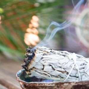 Alternative view of Beli Žajbelj / White Sage (Ancestral Aroma)