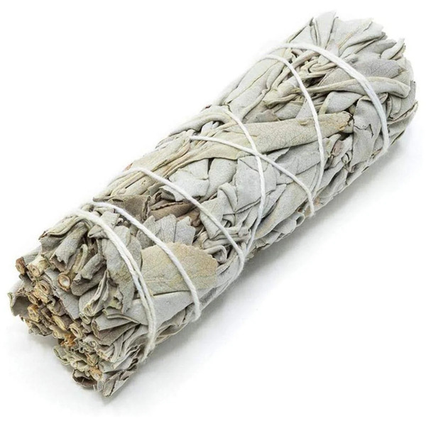 Beli Žajbelj / White Sage (Ancestral Aroma)