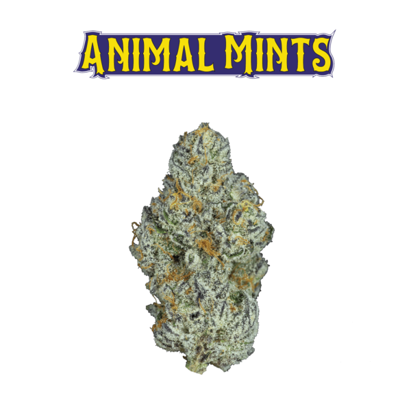 Vršički konoplje Animal Mints 1g