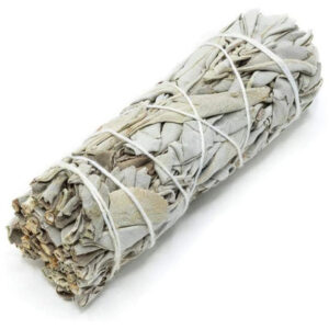 Beli Žajbelj / White Sage (Ancestral Aroma) Mini