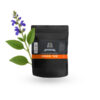 Salvia (Salvia divinorum) izvleček 10x 1g