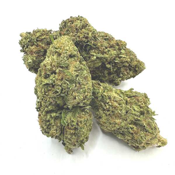 Vršički konoplje Malibu Kush 3g